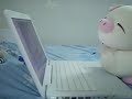 Piglet Love - Singtel Free Campus Call Piglet Love - Singtel Free Campus Call