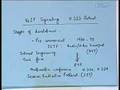 Lecture -33 VoIP Signaling : H.323 Protocol