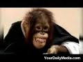 KISSING PRANK KISSING PRANK