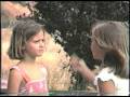videos de Tvm14 - 