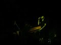 Los Perez Garcia.- \"Noche Soņada\" Los Perez Garcia.- \"Noche Soņada\"