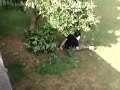 rian jump