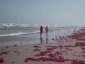 Gulf of Mexico