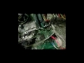 ����� ����� ���� ������ Video card