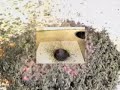 Thermal Decomposition of Ammonium Dichromate (VI)