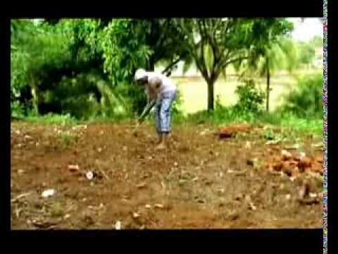 Riso Bangoura, Album SIMAYA 