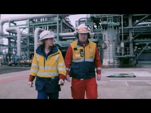 Het werk van een inspecteur Major Hazard Control