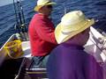 videos de Norge-Cowboy