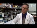 FINDING_A_GOOD_VIRUS.wmv FINDING_A_GOOD_VIRUS.wmv