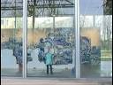 Fondation Cartier exhibition, Adriana Varejao