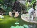 Thailand 2008
