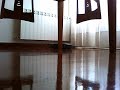 ROOMBA 581, incansable,insuperable