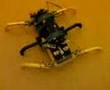 Hexapod2