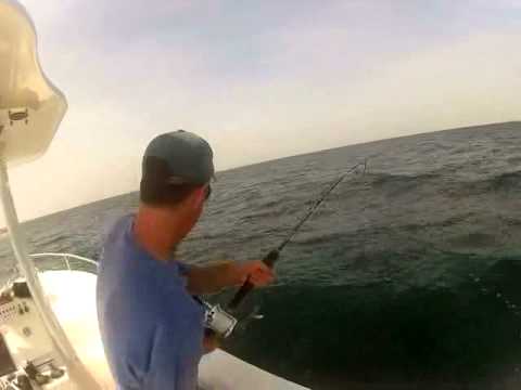 Sharking