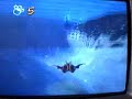 Ty the Tasmanian Tiger: Bilbie rescue