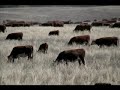 Holistic Management: Partnering with Nature Holistic Management: Partnering with Nature
