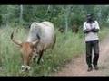 Holistic Management: Partnering with Nature