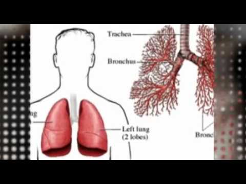 how to help get rid of bronchitis