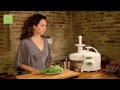 Make Super-healthy Wheatgrass Juice - Ligia's Kitchen