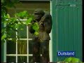 Baarle-Hertog anders bekeken (1)