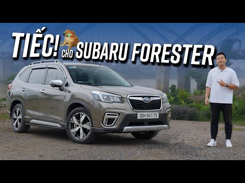 Subaru Forester ai cũng khen nhưng tại sao lại toàn đi mua CX5?