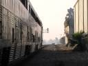 Amtrak 775 with Operation lifesaver at fullerton