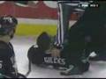 Derek Boogard KOs Trevor Gillies