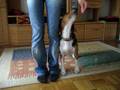 videos de Thelma - Schultertarget