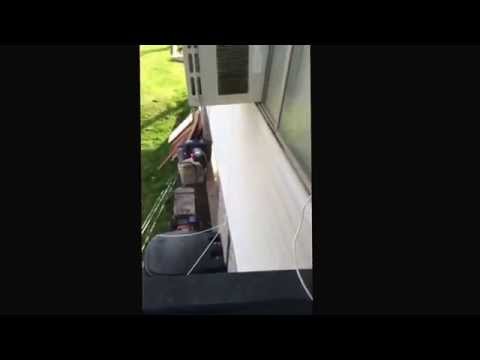 IS THIS THE HEIGHT OF LAZINESS?