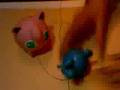pokemon Marril vs Jigglypuff