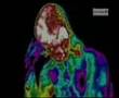 Cospirazioni - Sperimentazione e Biogenetica (3 di 3)