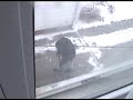JTN Shows How to Shovel a Driveway