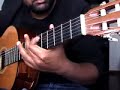 Playing \"Patterns In The Ivy\" from Opeth