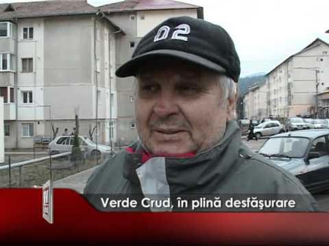 Verde Crud, în plină desfăşurare