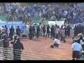 Bulgarian Football Hooligans Bulgarian Football Hooligans