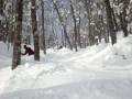 Mount Bohemia - Skiing in the Woods