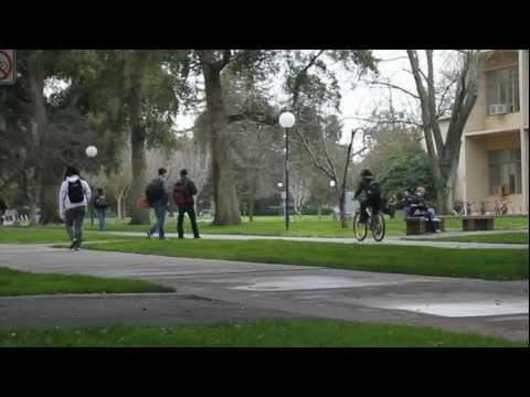 bounce energy bounce energy