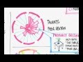 Reputation currencies @ Hubnet.mp4