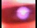(uploaded by buZz_)&nbsp;Very closeup