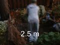 Parkour autumn training and trickz