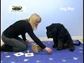 Nina Ottosson Dog Box