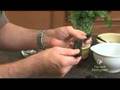 Video Recipe: Dried Chilis Quick Tip videos