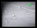 videos de Eliminatórias Copa 1978: Brasil 8x0 Bolívia (1977)