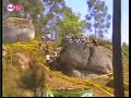 downhill - Fafe Tv
