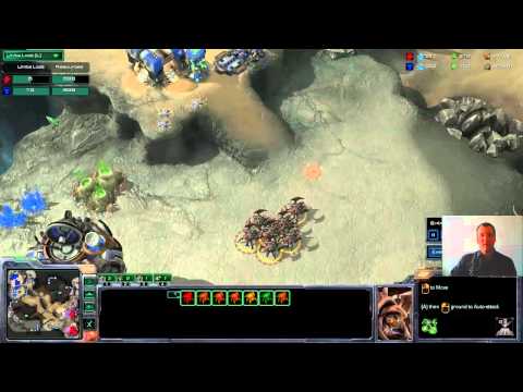 starcraft 2 hots