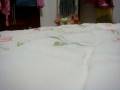 videos de Corto PanKar