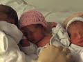 dia dos de los tres bebes de lissette, lauren, kevin y julian