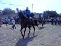 EL SALITRE
