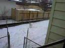 Fiona and the snow!