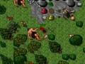 Tibia Legends